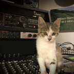 Fern-ES Guest Producer.jpg