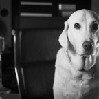 Daisy studio portrait.jpg