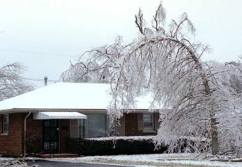 Ice_Storm_Victim1ca797